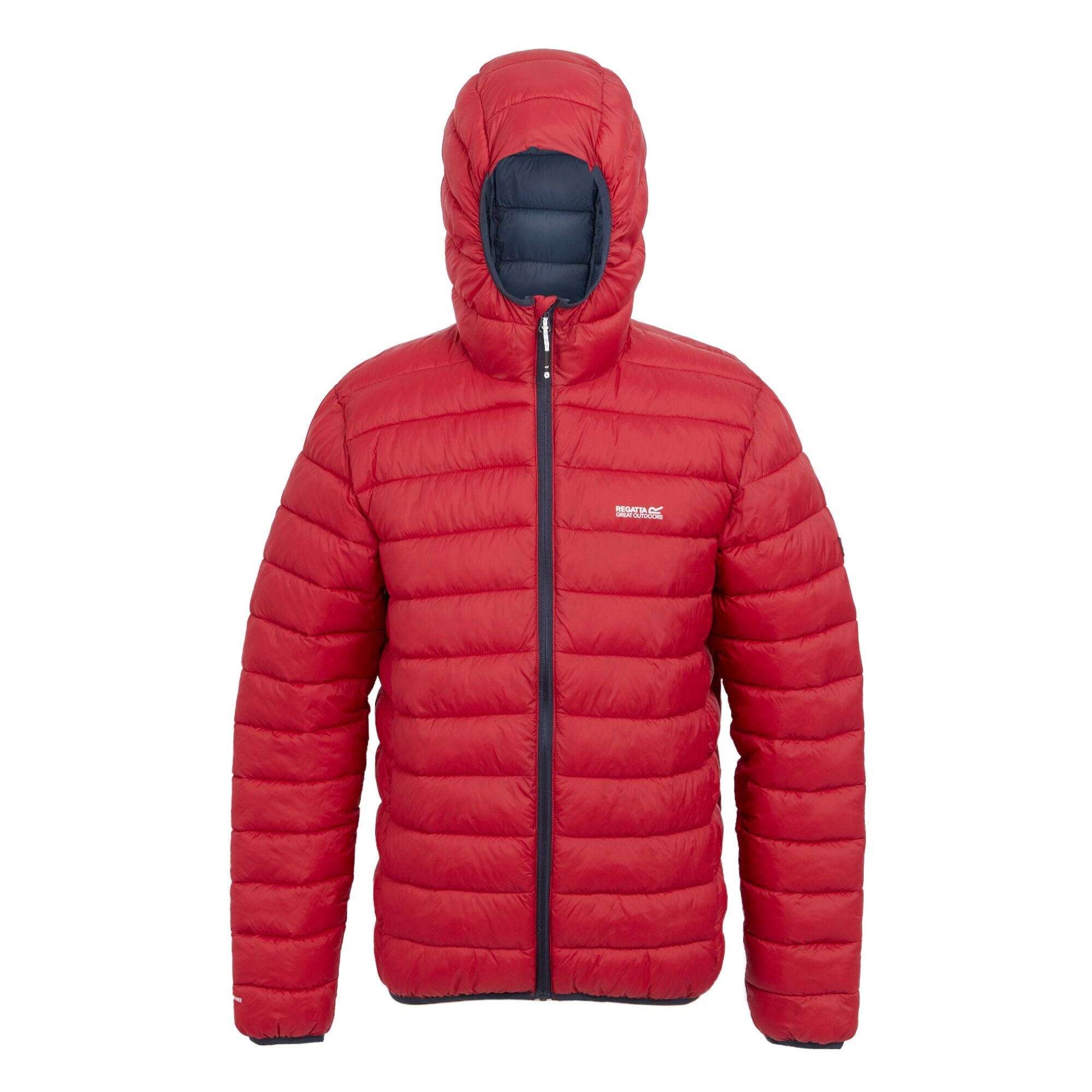 RMN 223 Hooded Marizion